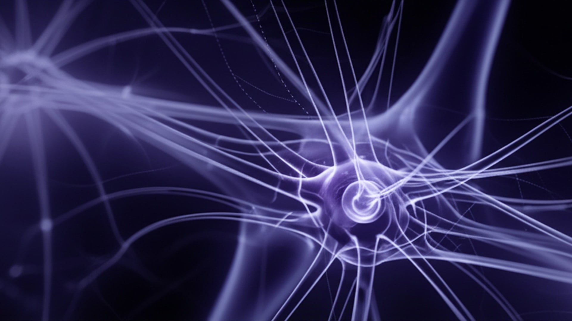 Secrets of the sleep-deprived brain